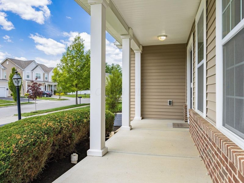 4916 Black Sycamore Drive, Columbus, OH 43231 Photo 8