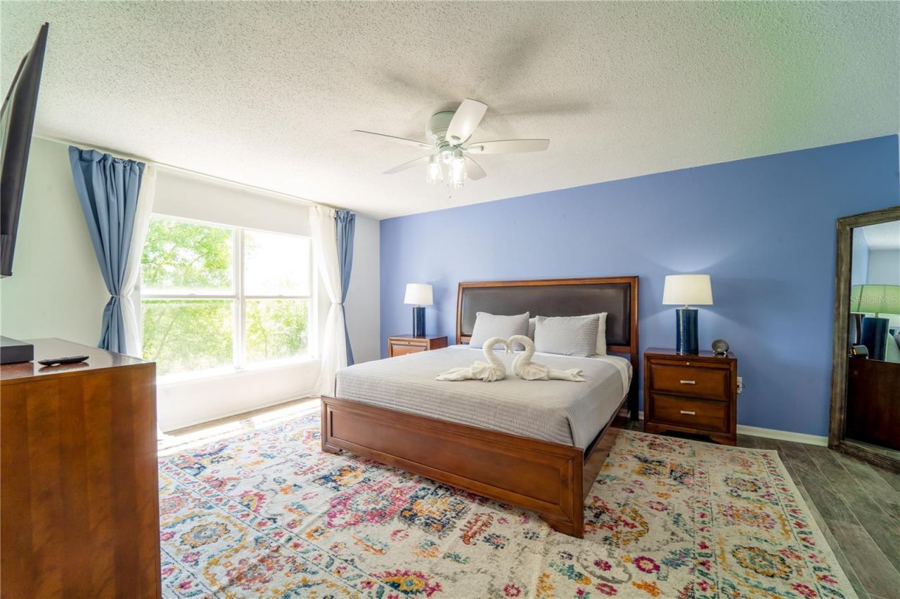 31704 Shin Court, Wesley Chapel, FL 33545 Photo