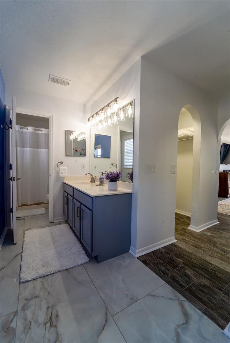 31704 Shin Court, Wesley Chapel, FL 33545 Photo