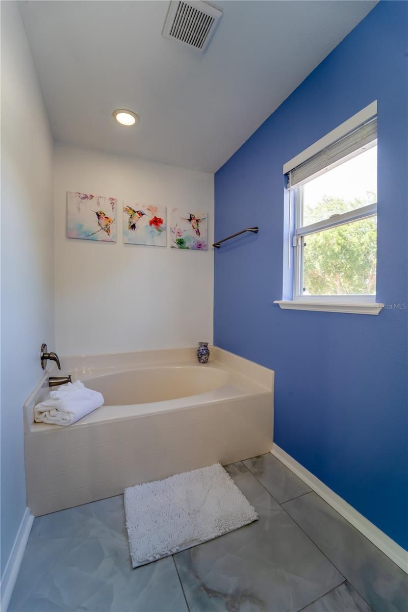 31704 Shin Court, Wesley Chapel, FL 33545 Photo