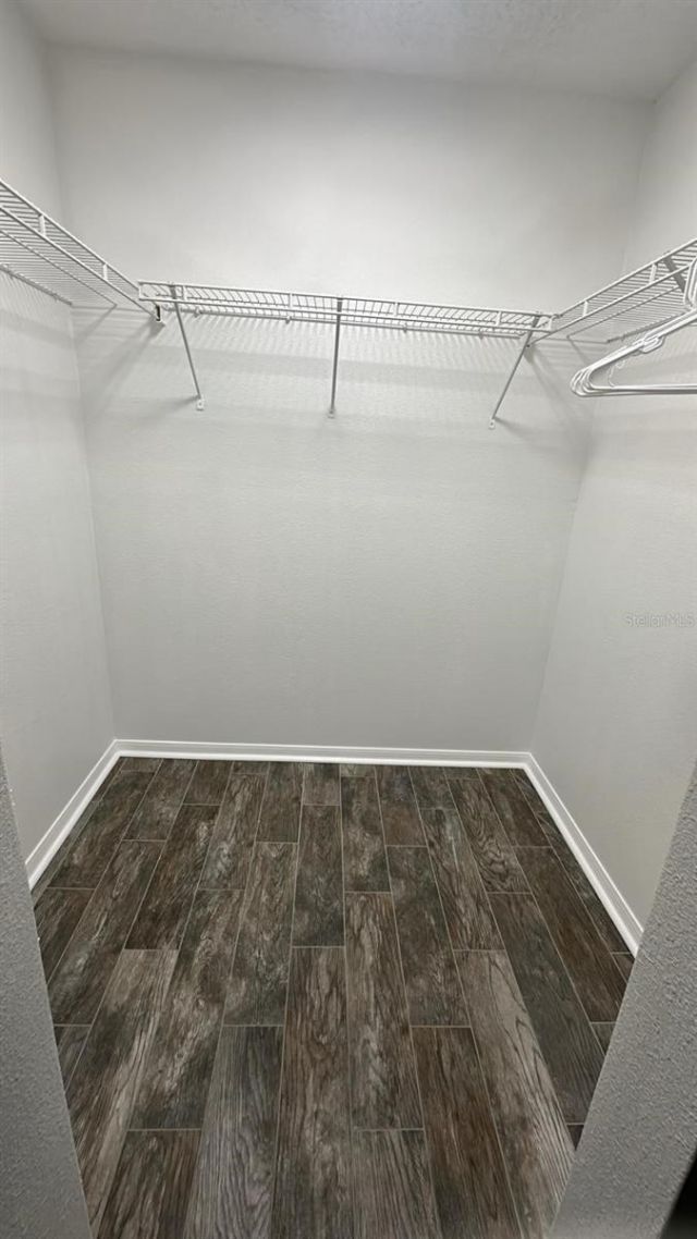 31704 Shin Court, Wesley Chapel, FL 33545 Photo