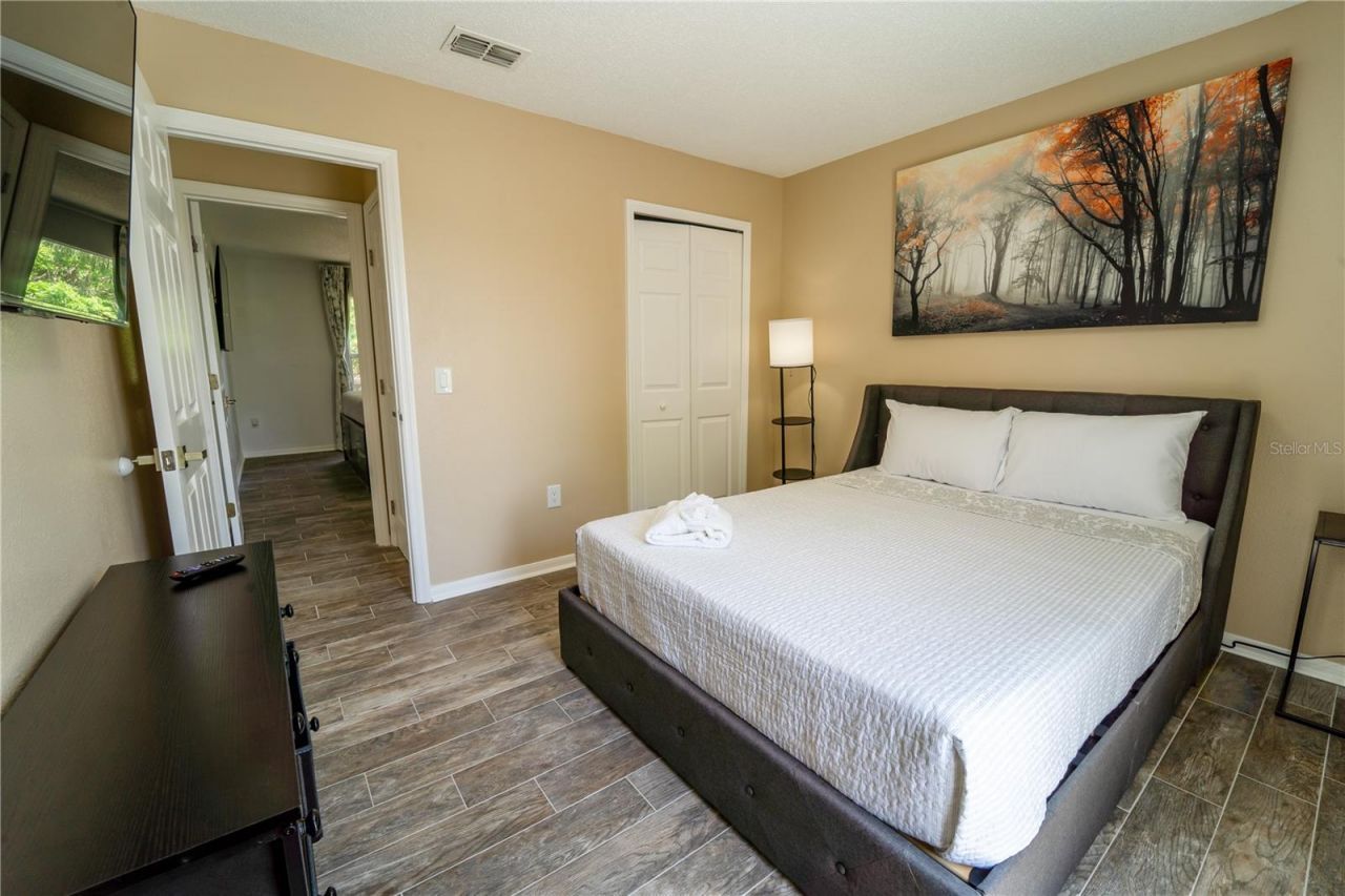 31704 Shin Court, Wesley Chapel, FL 33545 Photo