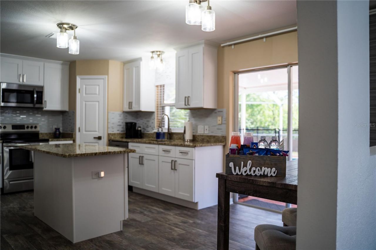 31704 Shin Court, Wesley Chapel, FL 33545 Photo