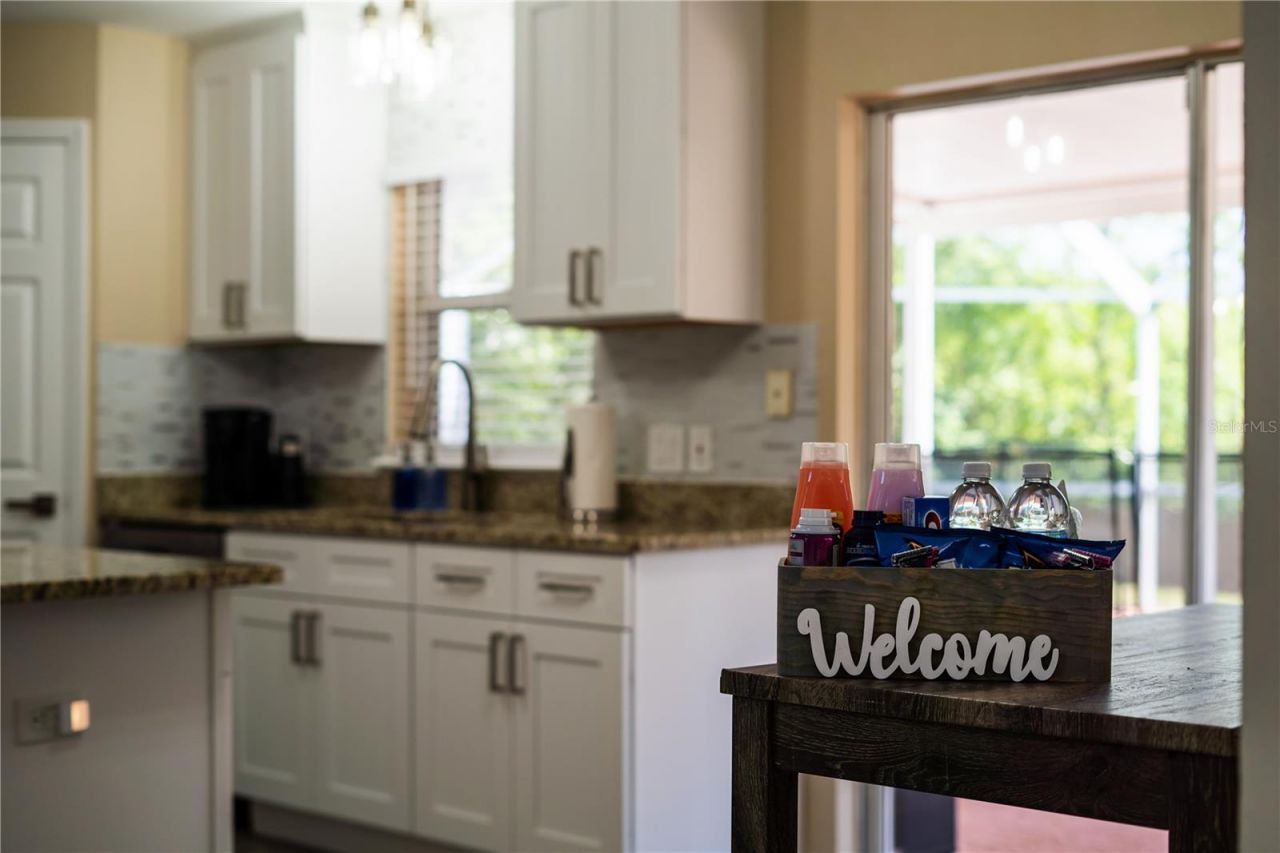 31704 Shin Court, Wesley Chapel, FL 33545 Photo