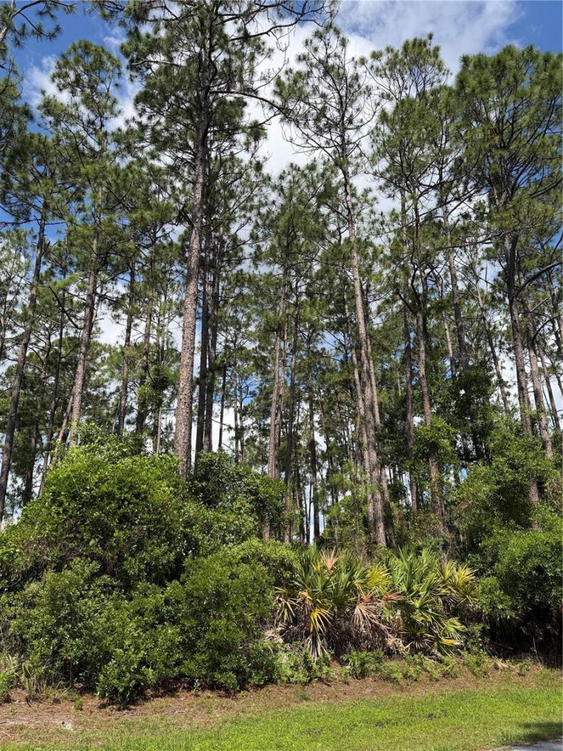 3 Largo Place, Palm Coast, FL 32137 Photo