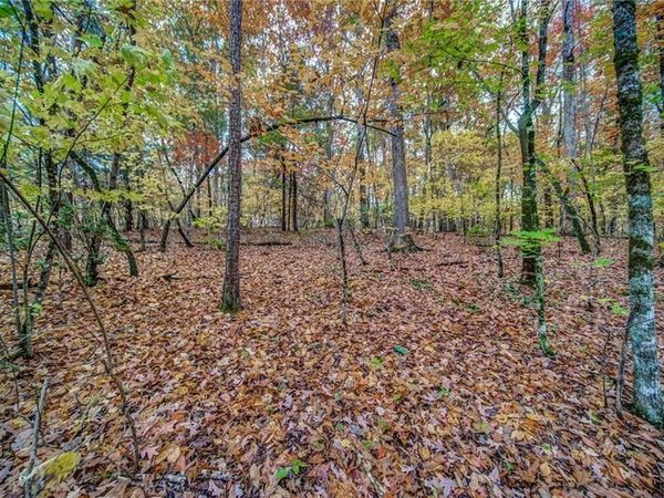 543 Cove Lake Drive , Marble Hill, GA 30148