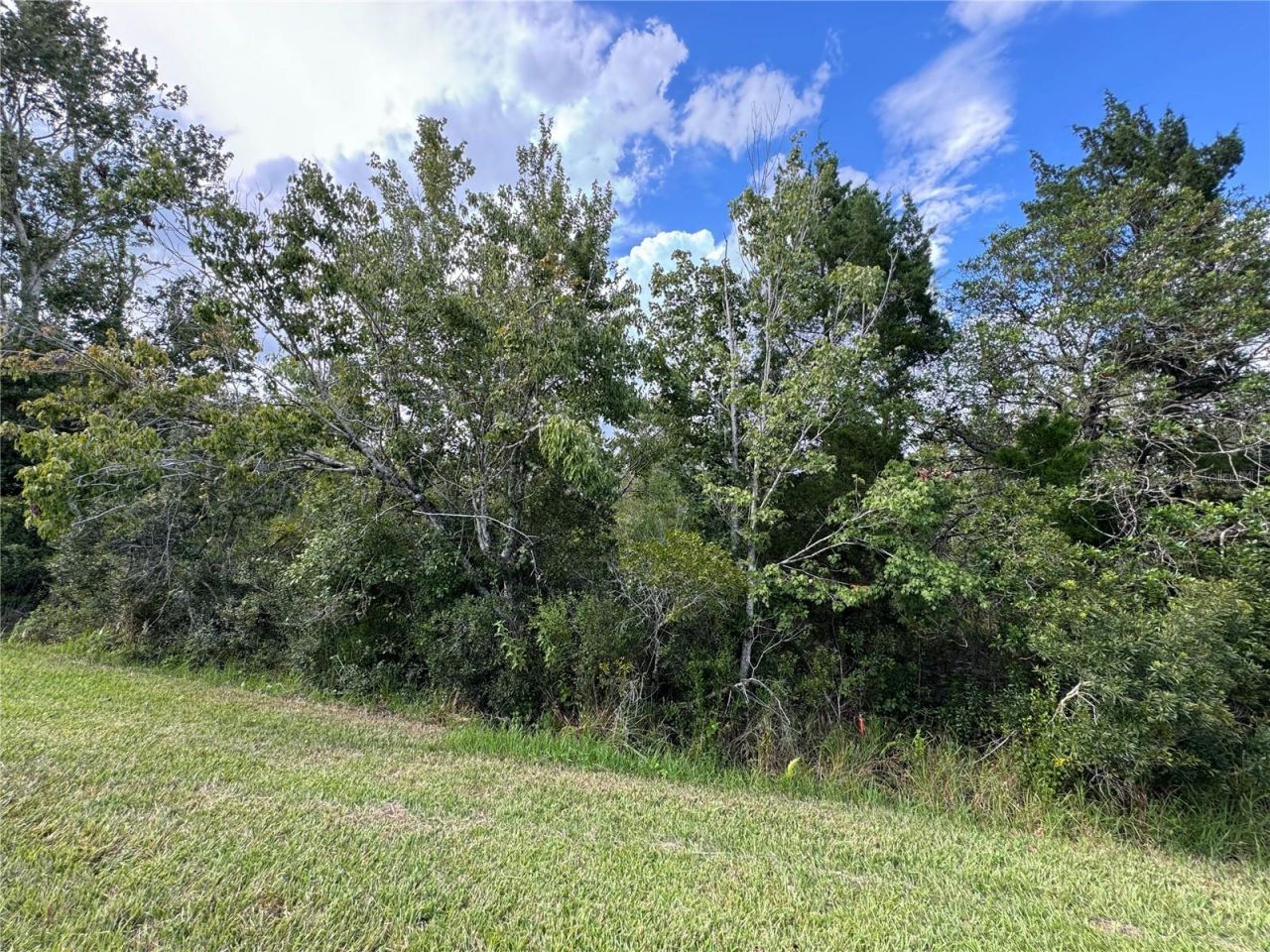 Sheldon Street , Orlando, FL 32833 Photo