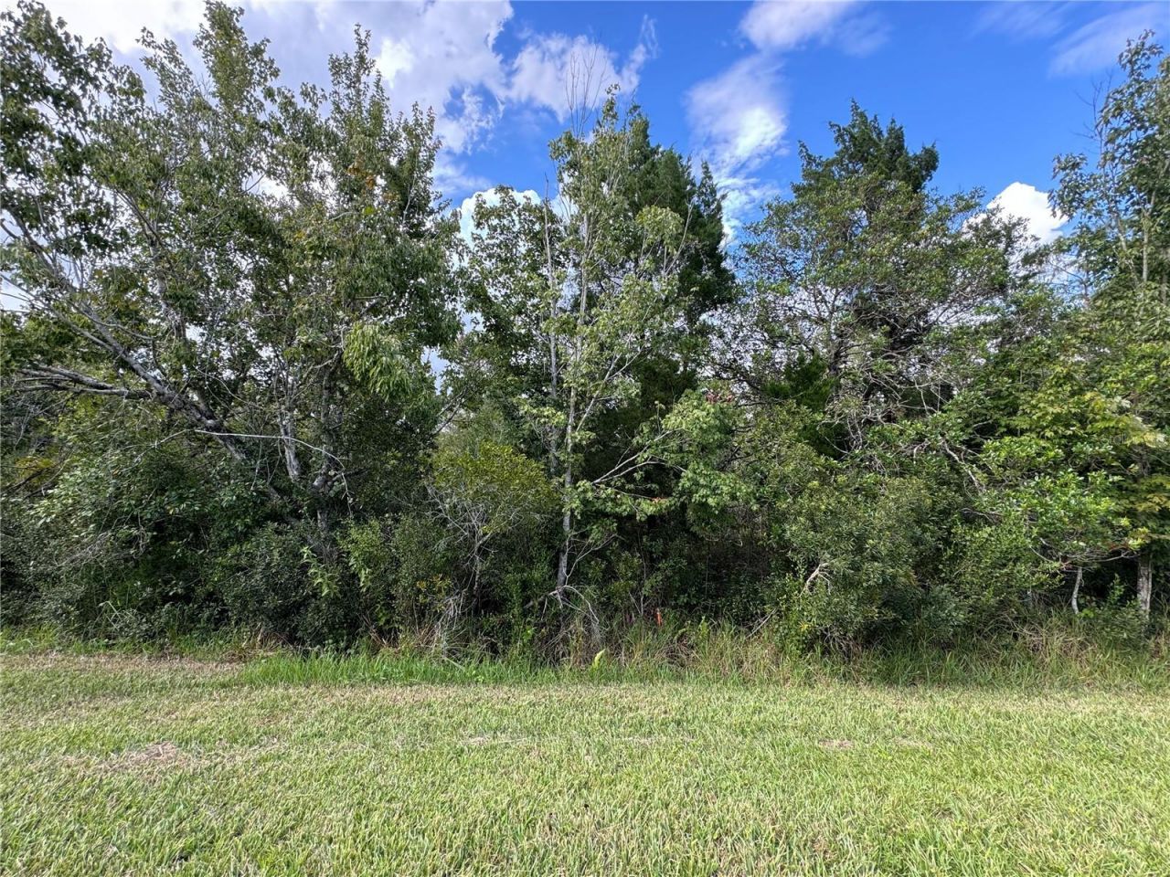 Sheldon Street , Orlando, FL 32833 Photo