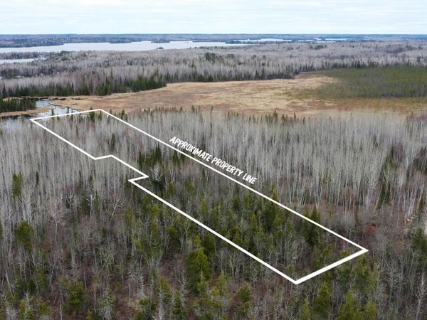 TBD Parcel 15 Hwy 115 , Tower, MN 55790