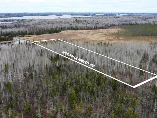 TBD Parcel 14 Hwy 115 , Tower, MN 55790