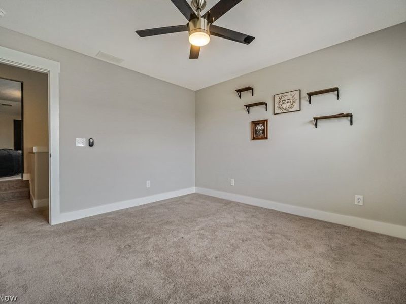 8809 Leatherleaf Drive, Columbia Station, OH 44028 Photo 33