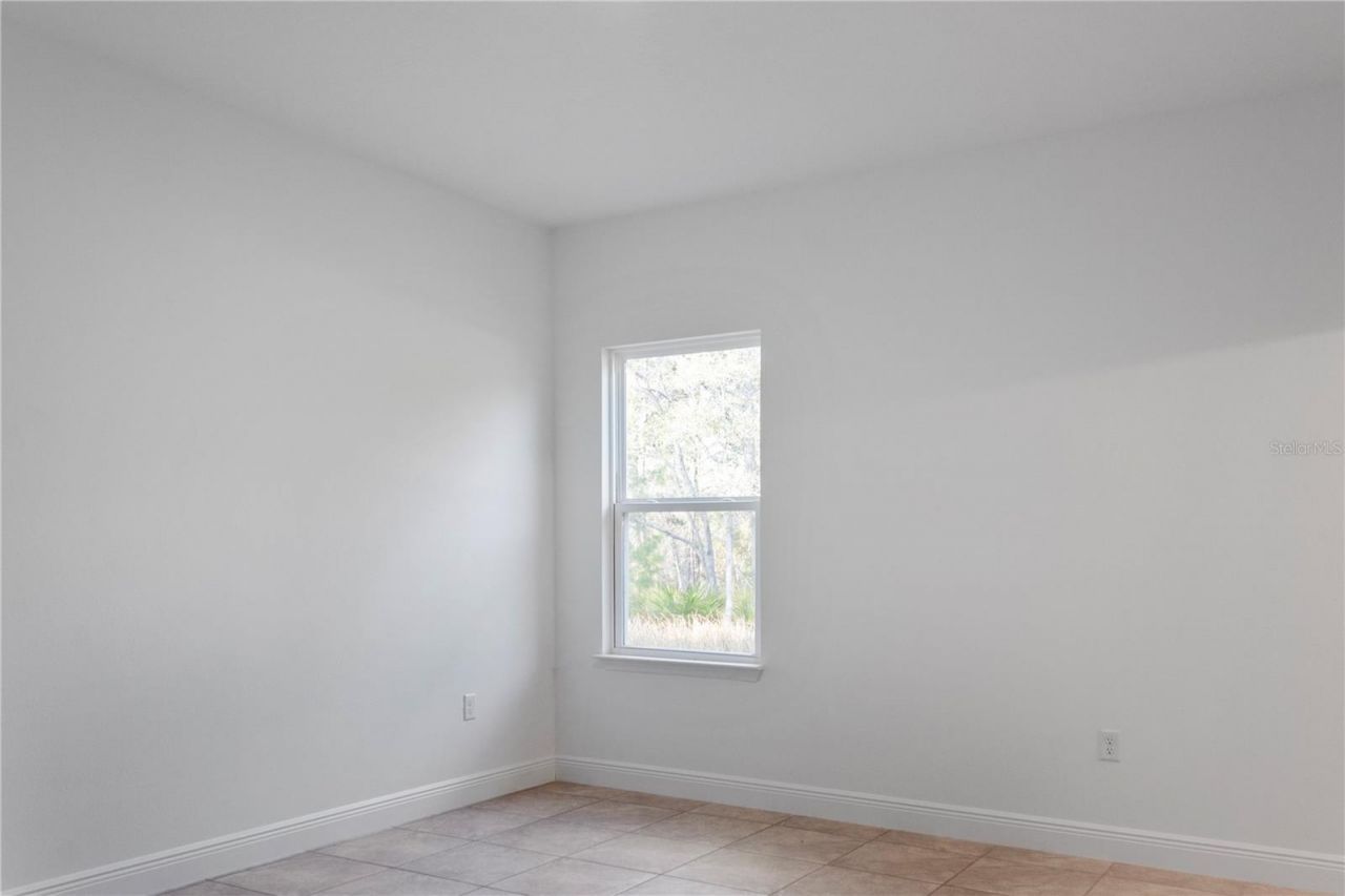 1569 W Mc Neal Drive, Citrus Springs, FL 34434 Photo
