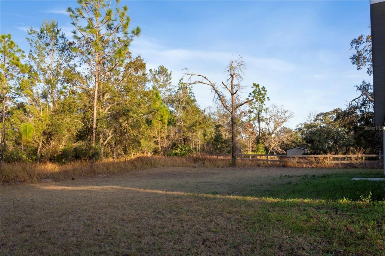 1569 W Mc Neal Drive, Citrus Springs, FL 34434 Photo