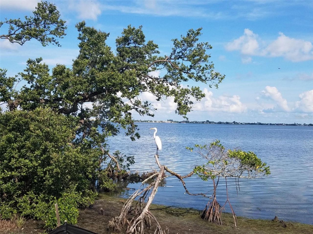 392 Aruba Circle , Unit 102, Bradenton, FL 34209 Photo