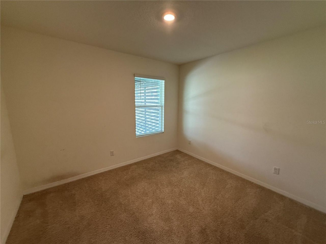 2029 Maple Ridge Drive , Zellwood, FL 32798 Photo
