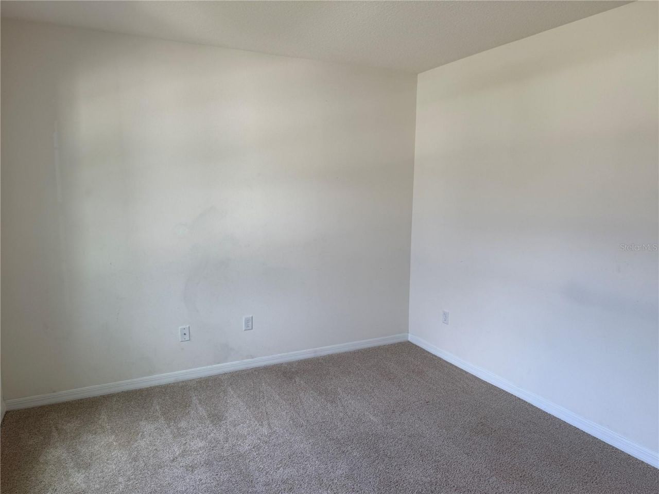 2029 Maple Ridge Drive , Zellwood, FL 32798 Photo