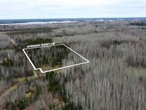 TBD Parcel 19 Hwy 115 , Tower, MN 55790