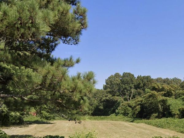 1.10 Apollo Road, Arab, AL 35016