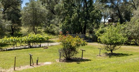 4940 Holly Dr, Shingle Springs, CA 95682 Photo