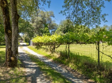 4940 Holly Dr, Shingle Springs, CA 95682 Photo