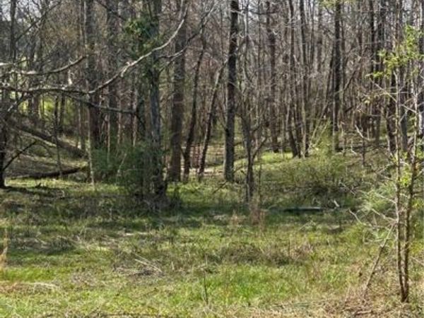 0 Browning Road , Fairmount, GA 30139
