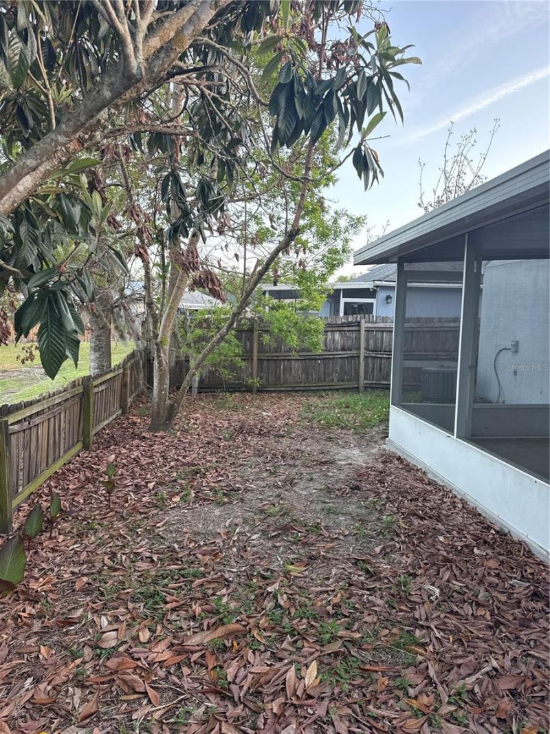 5920 Rotella Drive, Wesley Chapel, FL 33545 Photo
