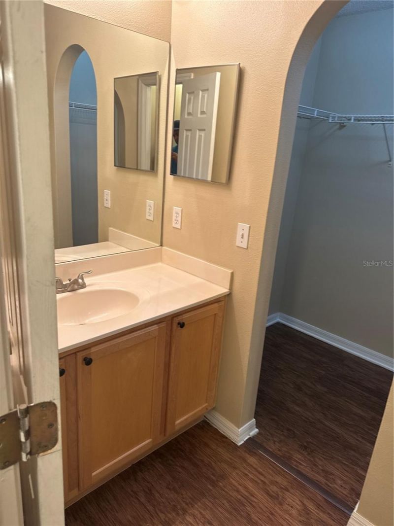 5920 Rotella Drive, Wesley Chapel, FL 33545 Photo