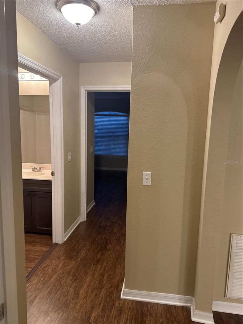 5920 Rotella Drive, Wesley Chapel, FL 33545 Photo