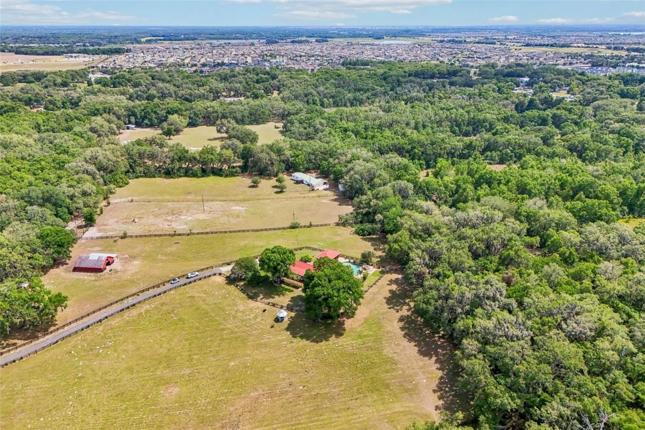 35841 Timbertop Lane, Fruitland Park, FL 34731 Photo