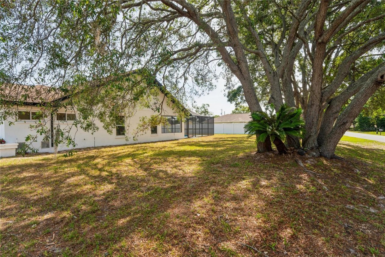 9124 Elida Road, Spring Hill, FL 34608 Photo