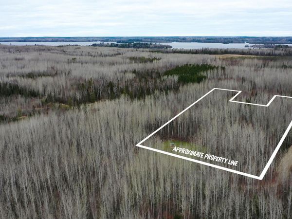 TBD Parcel 20 Hwy 115 , Tower, MN 55790