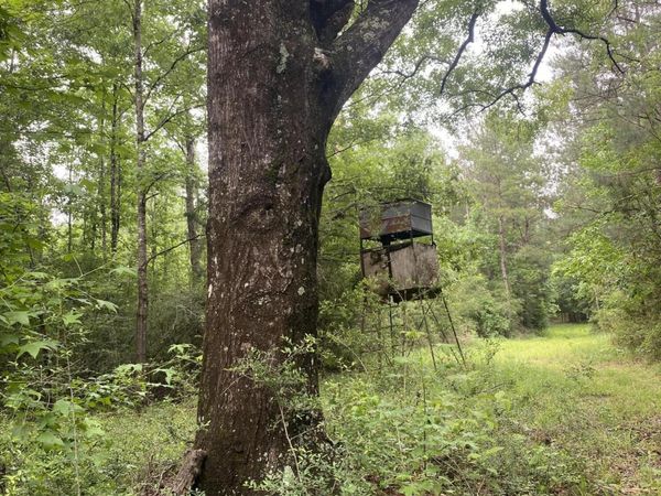 Tbd 48 NE S Of St, Gloster, MS 39638