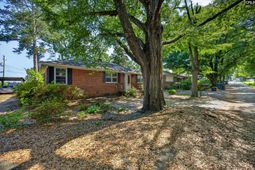 1217 Jensen Street  photo 4