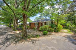 1217 Jensen Street  photo 4