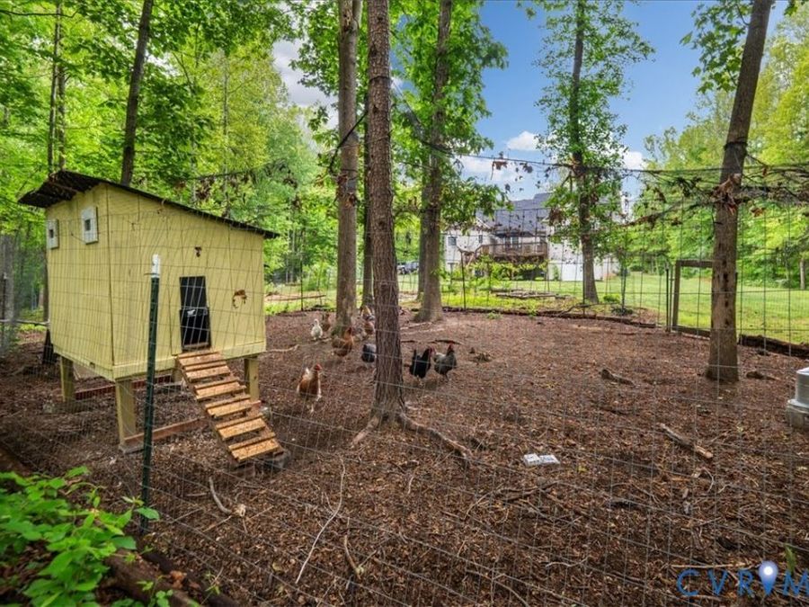 Property Image 62