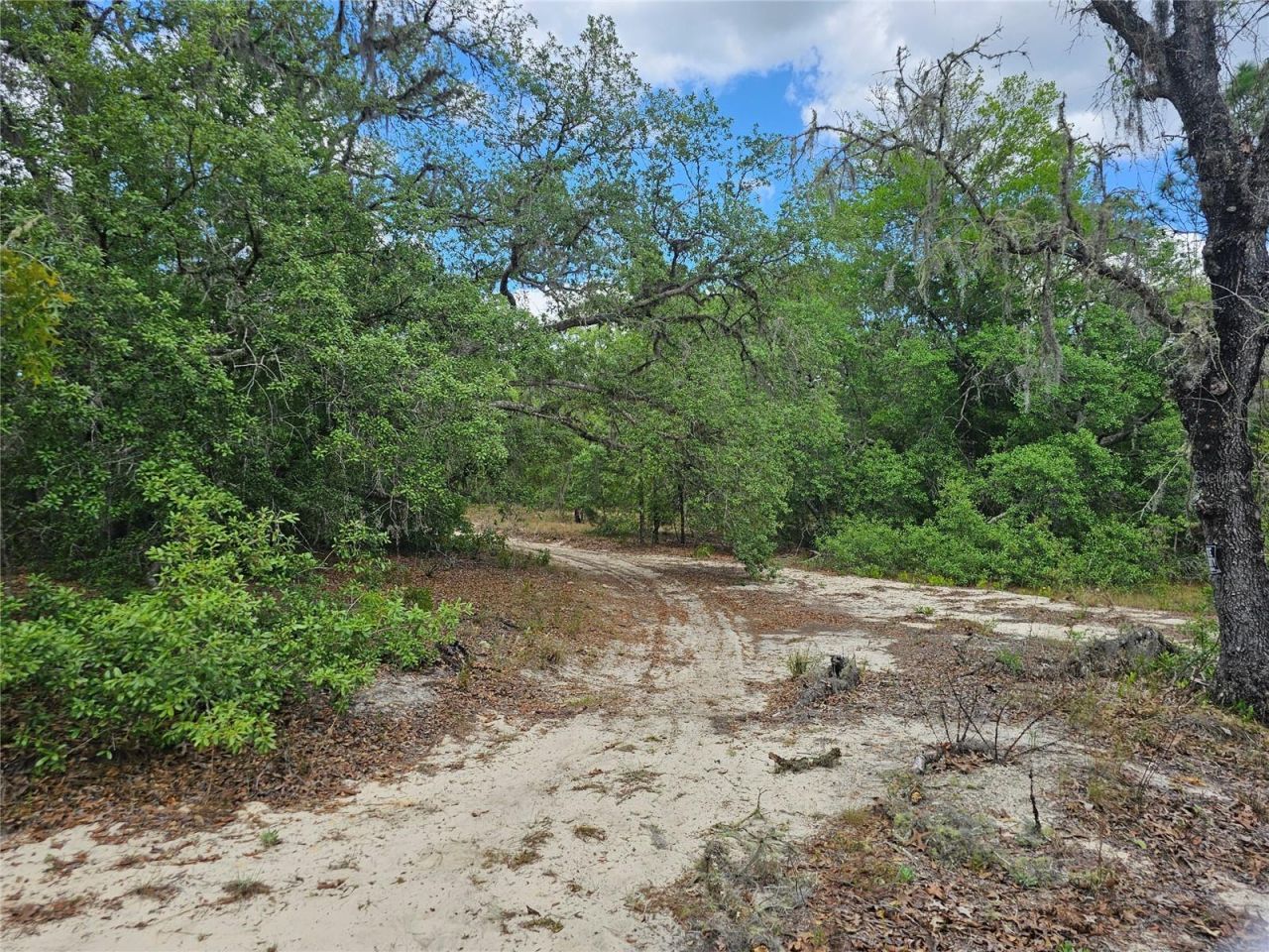 2950 W Pompano Lane, Dunnellon, FL 34433 Photo