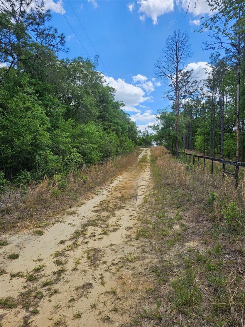 2950 W Pompano Lane, Dunnellon, FL 34433 Photo