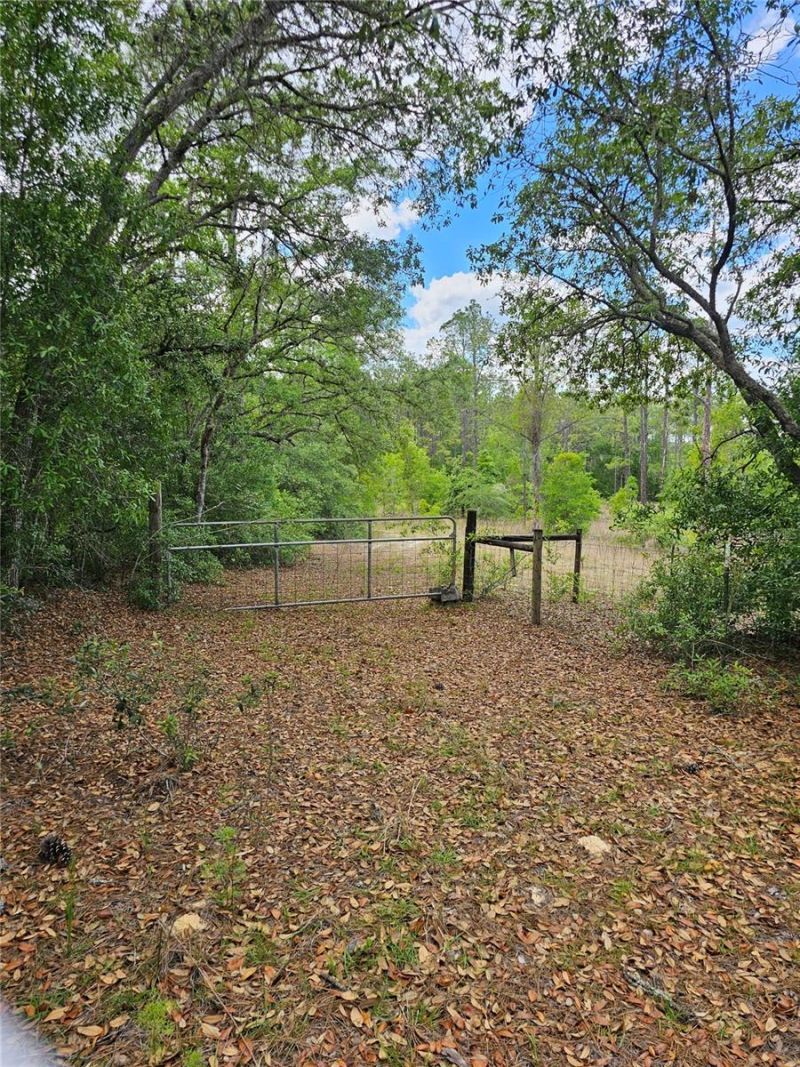 2950 W Pompano Lane, Dunnellon, FL 34433 Photo