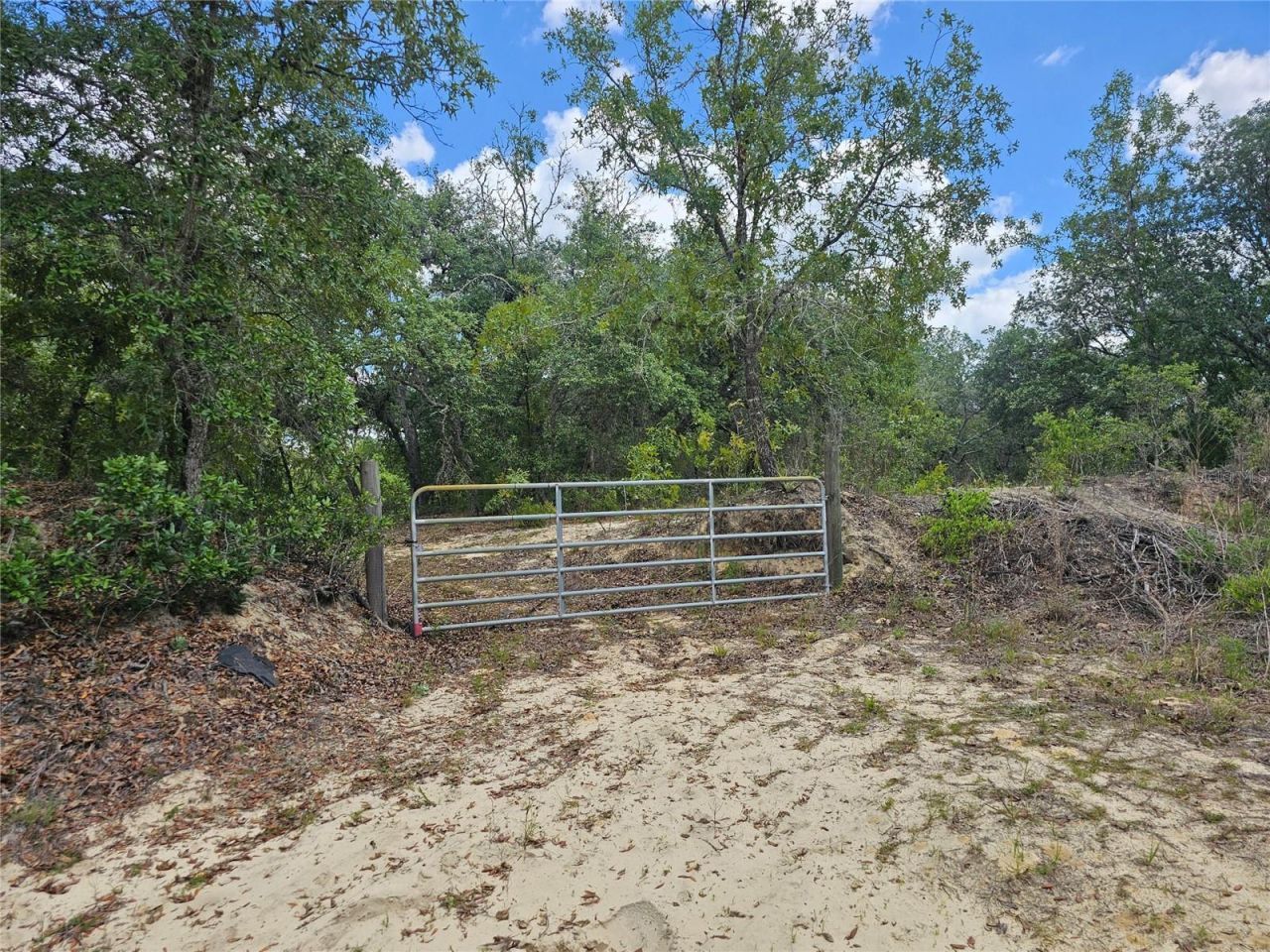 2950 W Pompano Lane, Dunnellon, FL 34433 Photo