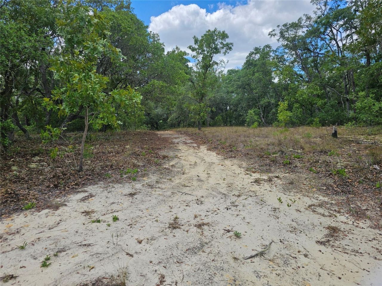 2950 W Pompano Lane, Dunnellon, FL 34433 Photo