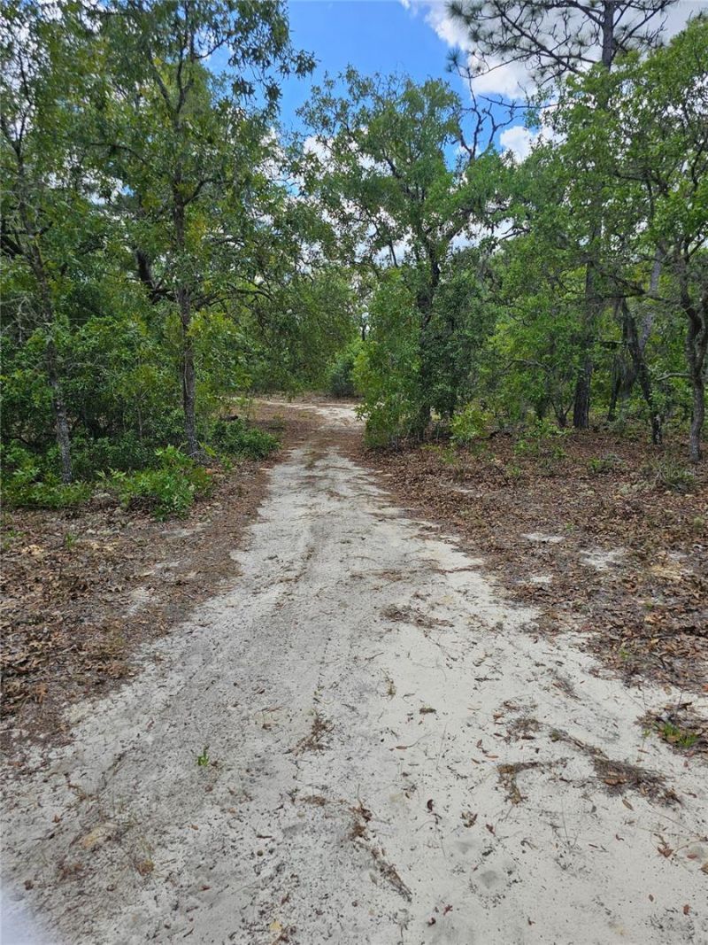 2950 W Pompano Lane, Dunnellon, FL 34433 Photo