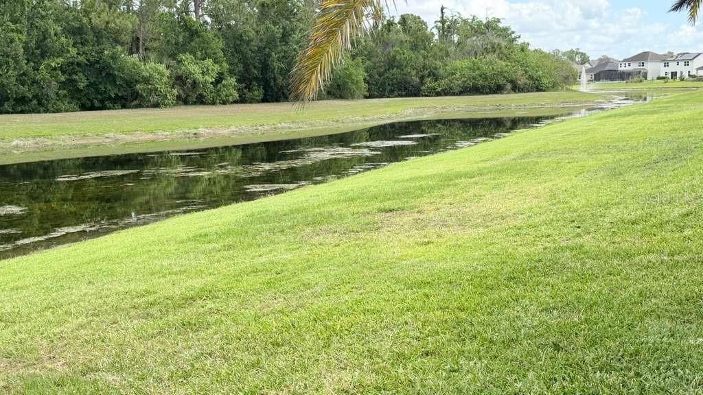 5233 Dove Tree Street , Orlando, FL 32811 Photo