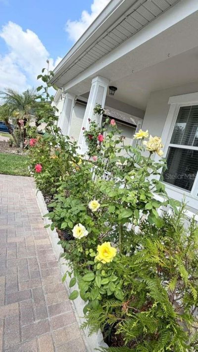 5233 Dove Tree Street , Orlando, FL 32811 Photo
