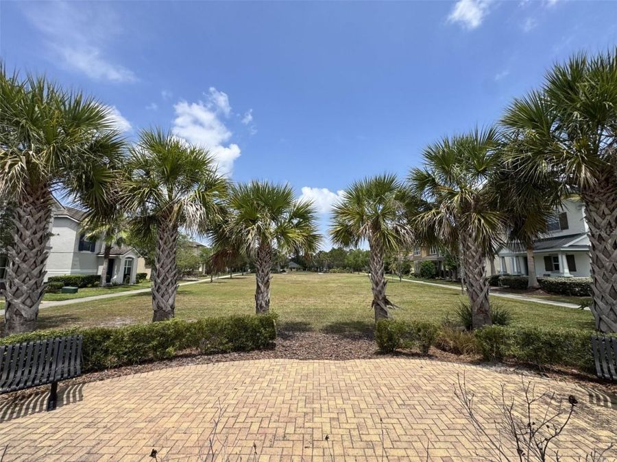 Property Image 58