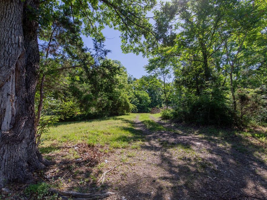 Property Image 81