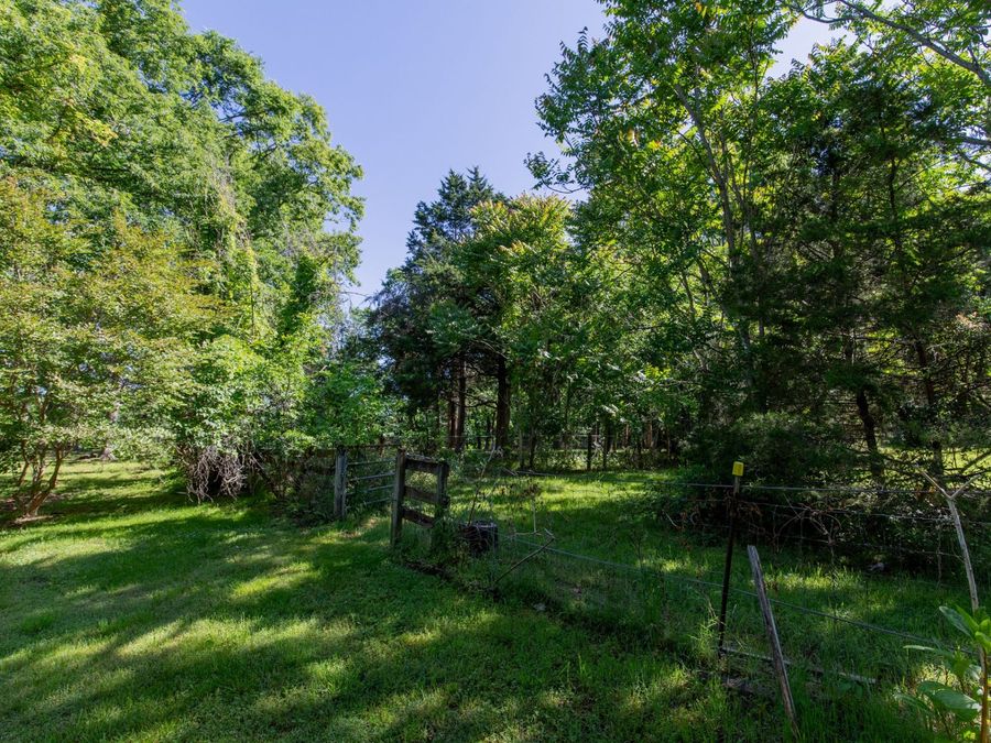 Property Image 83