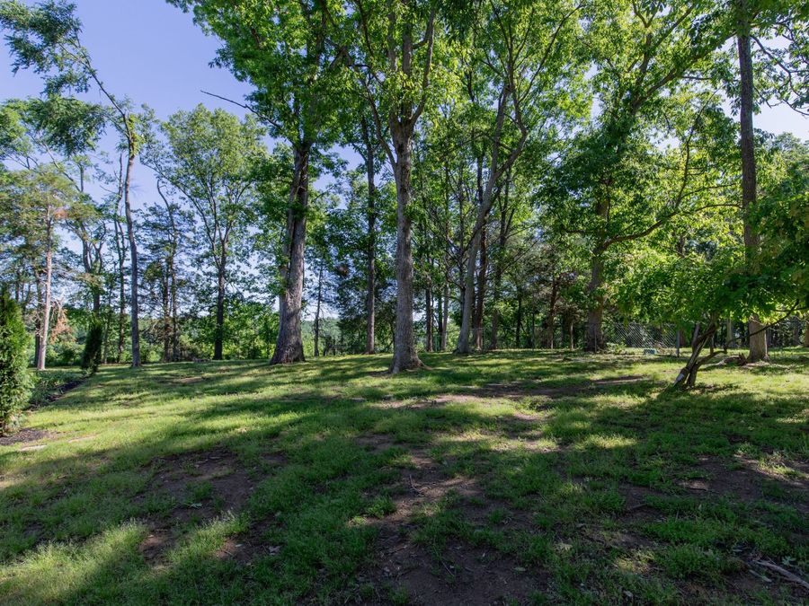 Property Image 88