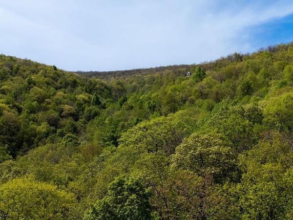 2242 LAUREL SPRINGS DR , Wintergreen Resort, VA 22967