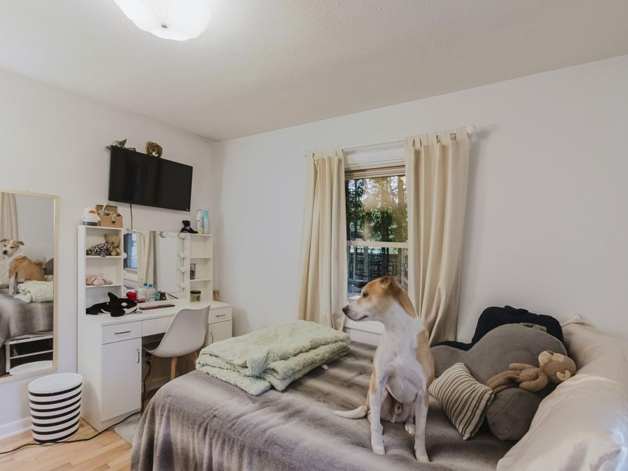 Property Image 64