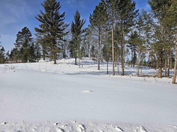 tbd 75.5 Acres off Co Rd CF Road, Ely Twp, MI 49849